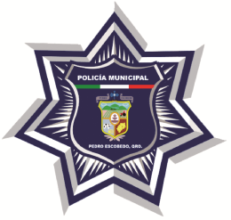 Secretaría de Seguridad y Tránsito Municipal de Pedro Escobedo